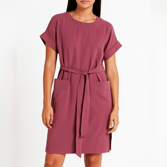 Aritzia Babaton Belted Pockets Casual Mini Oversize Dress Size XXS - Picture 1 of 14